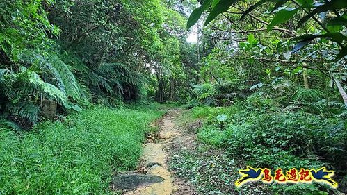 七堵石象山石獅山小8形 (2).jpg