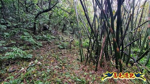 明山寺-鶯石尖觀景臺-鶯石尖-525峰-外大溪山O形 (3).jpg