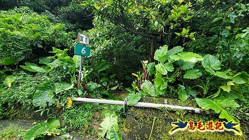 明山寺-鶯石尖觀景臺-鶯石尖-525峰-外大溪山O形 (2).jpg