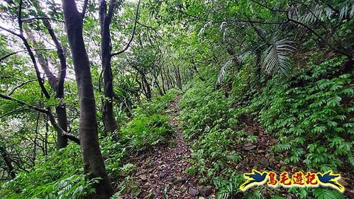 明山寺-鶯石尖觀景臺-鶯石尖-525峰-外大溪山O形 (5).jpg