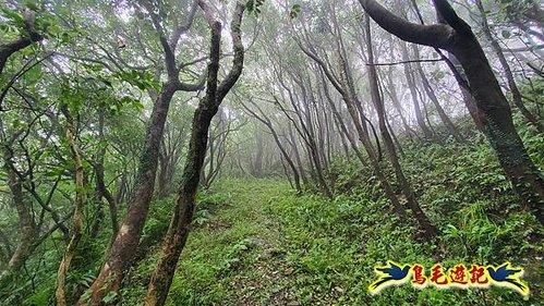 明山寺-鶯石尖觀景臺-鶯石尖-525峰-外大溪山O形 (6).jpg