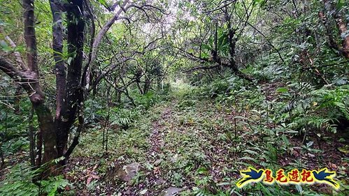 明山寺-鶯石尖觀景臺-鶯石尖-525峰-外大溪山O形 (4).jpg