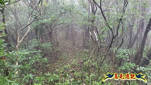 明山寺-鶯石尖觀景臺-鶯石尖-525峰-外大溪山O形 (10).jpg