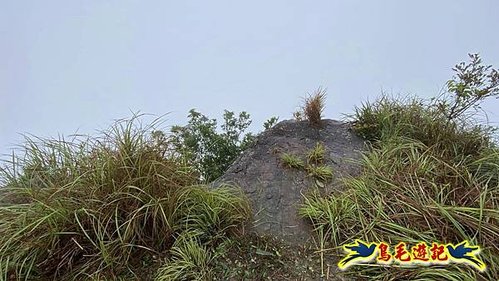 明山寺-鶯石尖觀景臺-鶯石尖-525峰-外大溪山O形 (9).jpg