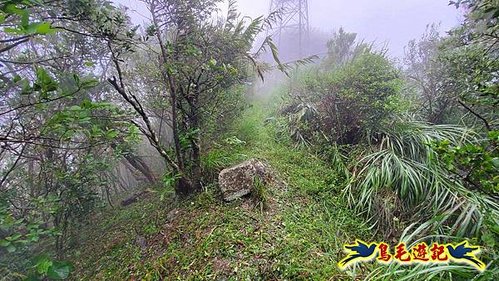 明山寺-鶯石尖觀景臺-鶯石尖-525峰-外大溪山O形 (13).jpg