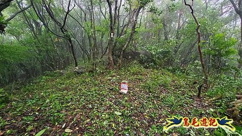 明山寺-鶯石尖觀景臺-鶯石尖-525峰-外大溪山O形 (11).jpg