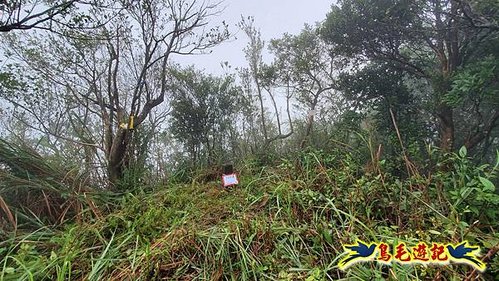 明山寺-鶯石尖觀景臺-鶯石尖-525峰-外大溪山O形 (21).jpg