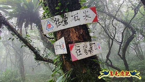 明山寺-鶯石尖觀景臺-鶯石尖-525峰-外大溪山O形 (24).jpg