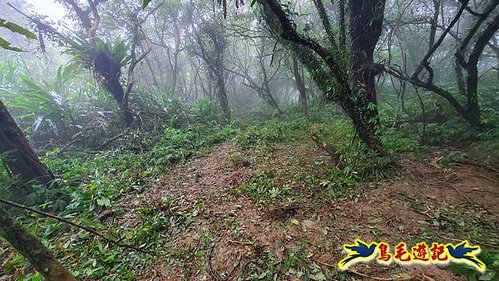 明山寺-鶯石尖觀景臺-鶯石尖-525峰-外大溪山O形 (26).jpg