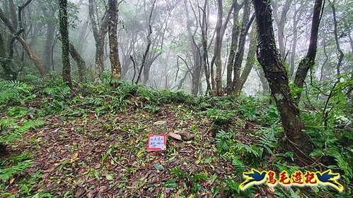 明山寺-鶯石尖觀景臺-鶯石尖-525峰-外大溪山O形 (28).jpg