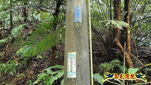 七堵區西勢外寮山-港口山-中埔山-中埔山東峰-峭壁雄風P形 (2).jpg