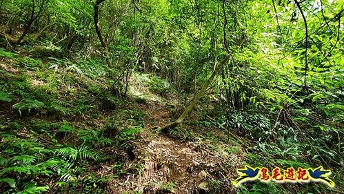 內寮站-內寮古道(山川石.百年土地公.番婆厝 (5).jpg