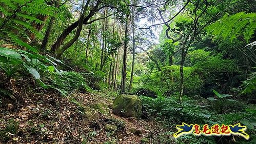 內寮站-內寮古道(山川石.百年土地公.番婆厝 (2).jpg