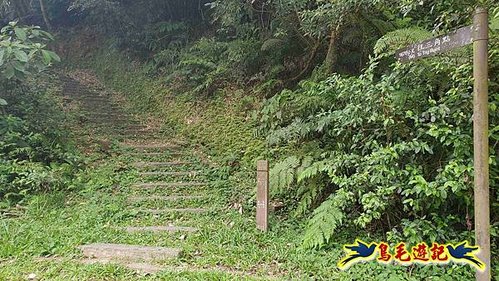 姜子寮山步道-草濫古道O形 (2).jpg