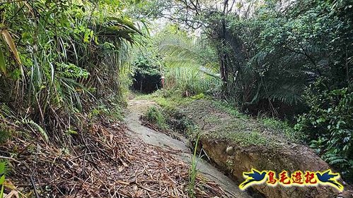 天使宮-下坡山-三合山-分水嶺山南峰-保線路O形 (2).jpg