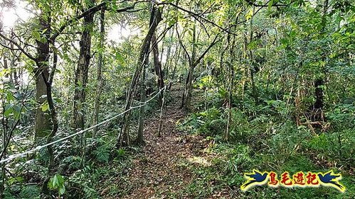 壽山宮稜線630鞍竹子山十三茶行鄒家古厝虎豹潭溪畔步道O形 (5).jpg