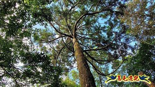 壽山宮稜線630鞍竹子山十三茶行鄒家古厝虎豹潭溪畔步道O形 (6).jpg