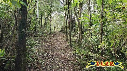 壽山宮稜線630鞍竹子山十三茶行鄒家古厝虎豹潭溪畔步道O形 (9).jpg
