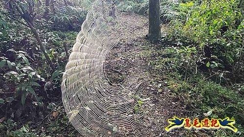 壽山宮稜線630鞍竹子山十三茶行鄒家古厝虎豹潭溪畔步道O形 (8).jpg