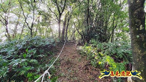 壽山宮稜線630鞍竹子山十三茶行鄒家古厝虎豹潭溪畔步道O形 (11).jpg