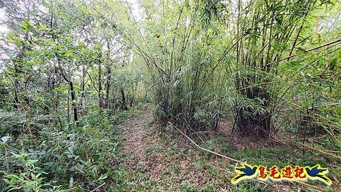 壽山宮稜線630鞍竹子山十三茶行鄒家古厝虎豹潭溪畔步道O形 (12).jpg