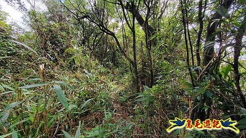 壽山宮稜線630鞍竹子山十三茶行鄒家古厝虎豹潭溪畔步道O形 (17).jpg