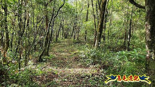 壽山宮稜線630鞍竹子山十三茶行鄒家古厝虎豹潭溪畔步道O形 (14).jpg