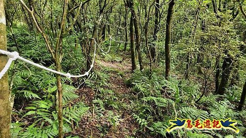 壽山宮稜線630鞍竹子山十三茶行鄒家古厝虎豹潭溪畔步道O形 (16).jpg
