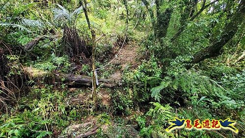 壽山宮稜線630鞍竹子山十三茶行鄒家古厝虎豹潭溪畔步道O形 (20).jpg