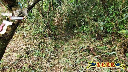 壽山宮稜線630鞍竹子山十三茶行鄒家古厝虎豹潭溪畔步道O形 (19).jpg