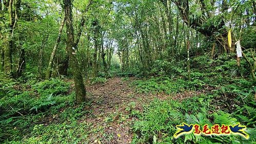 壽山宮稜線630鞍竹子山十三茶行鄒家古厝虎豹潭溪畔步道O形 (21).jpg