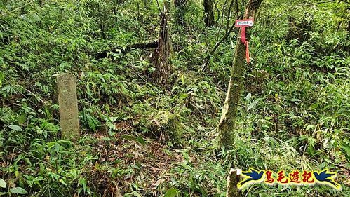 壽山宮稜線630鞍竹子山十三茶行鄒家古厝虎豹潭溪畔步道O形 (23).jpg