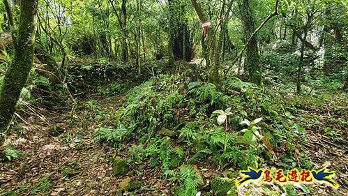 壽山宮稜線630鞍竹子山十三茶行鄒家古厝虎豹潭溪畔步道O形 (24).jpg