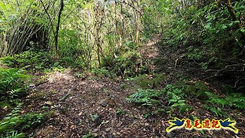 壽山宮稜線630鞍竹子山十三茶行鄒家古厝虎豹潭溪畔步道O形 (30).jpg