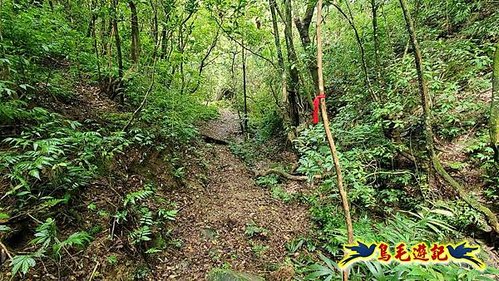 壽山宮稜線630鞍竹子山十三茶行鄒家古厝虎豹潭溪畔步道O形 (28).jpg