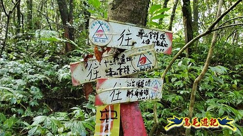 壽山宮稜線630鞍竹子山十三茶行鄒家古厝虎豹潭溪畔步道O形 (29).jpg