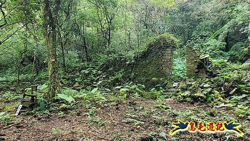 壽山宮稜線630鞍竹子山十三茶行鄒家古厝虎豹潭溪畔步道O形 (33).jpg