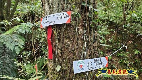 壽山宮稜線630鞍竹子山十三茶行鄒家古厝虎豹潭溪畔步道O形 (36).jpg