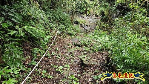 壽山宮稜線630鞍竹子山十三茶行鄒家古厝虎豹潭溪畔步道O形 (39).jpg