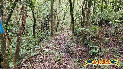 壽山宮稜線630鞍竹子山十三茶行鄒家古厝虎豹潭溪畔步道O形 (38).jpg