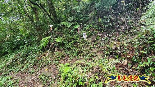 壽山宮稜線630鞍竹子山十三茶行鄒家古厝虎豹潭溪畔步道O形 (42).jpg