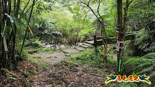 壽山宮稜線630鞍竹子山十三茶行鄒家古厝虎豹潭溪畔步道O形 (46).jpg