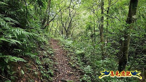 壽山宮稜線630鞍竹子山十三茶行鄒家古厝虎豹潭溪畔步道O形 (45).jpg
