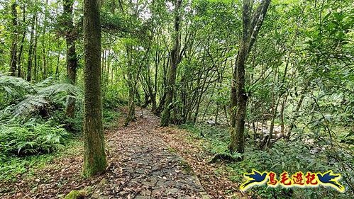 壽山宮稜線630鞍竹子山十三茶行鄒家古厝虎豹潭溪畔步道O形 (51).jpg