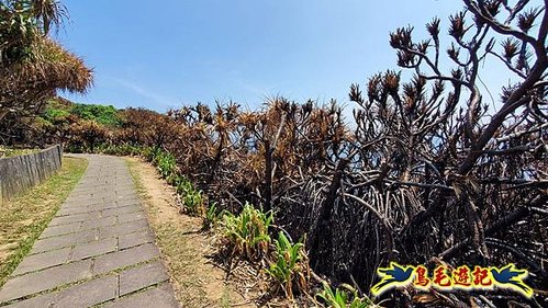 火燒山後の鼻頭角步道 (6).jpg