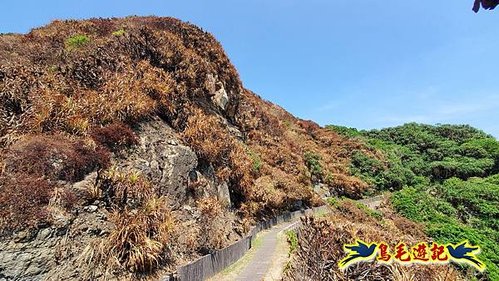 火燒山後の鼻頭角步道 (9).jpg