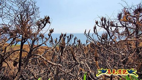 火燒山後の鼻頭角步道 (7).jpg