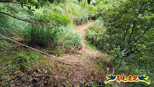 玉桂嶺山-伏獅山-竿蓁坑茶販古道-紫東‧東勢格產道O形 (34).jpg