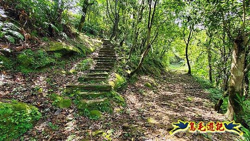 玉桂嶺山-伏獅山-竿蓁坑茶販古道-紫東‧東勢格產道O形 (49).jpg