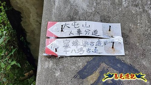 蜜蜂巢古道-水尾巴拉卡步道P形 (30).jpg